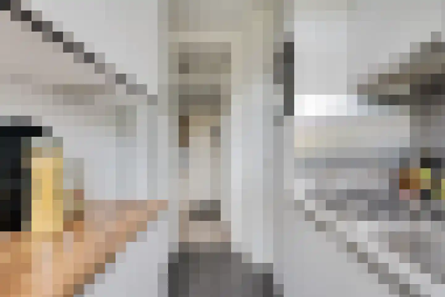 Frans Halskade 36 Rijswijk thumbnail 15