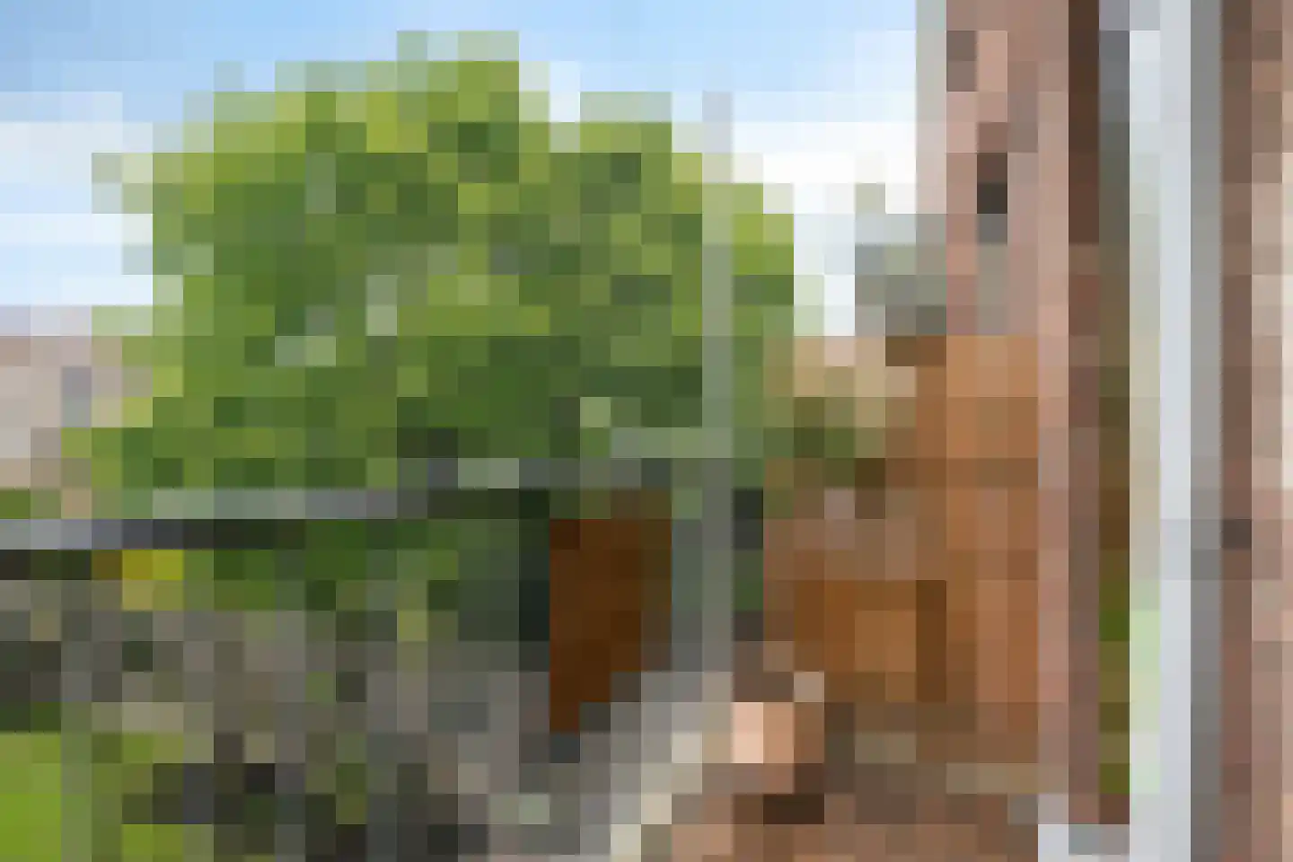 Frans Halskade 36 Rijswijk thumbnail 17