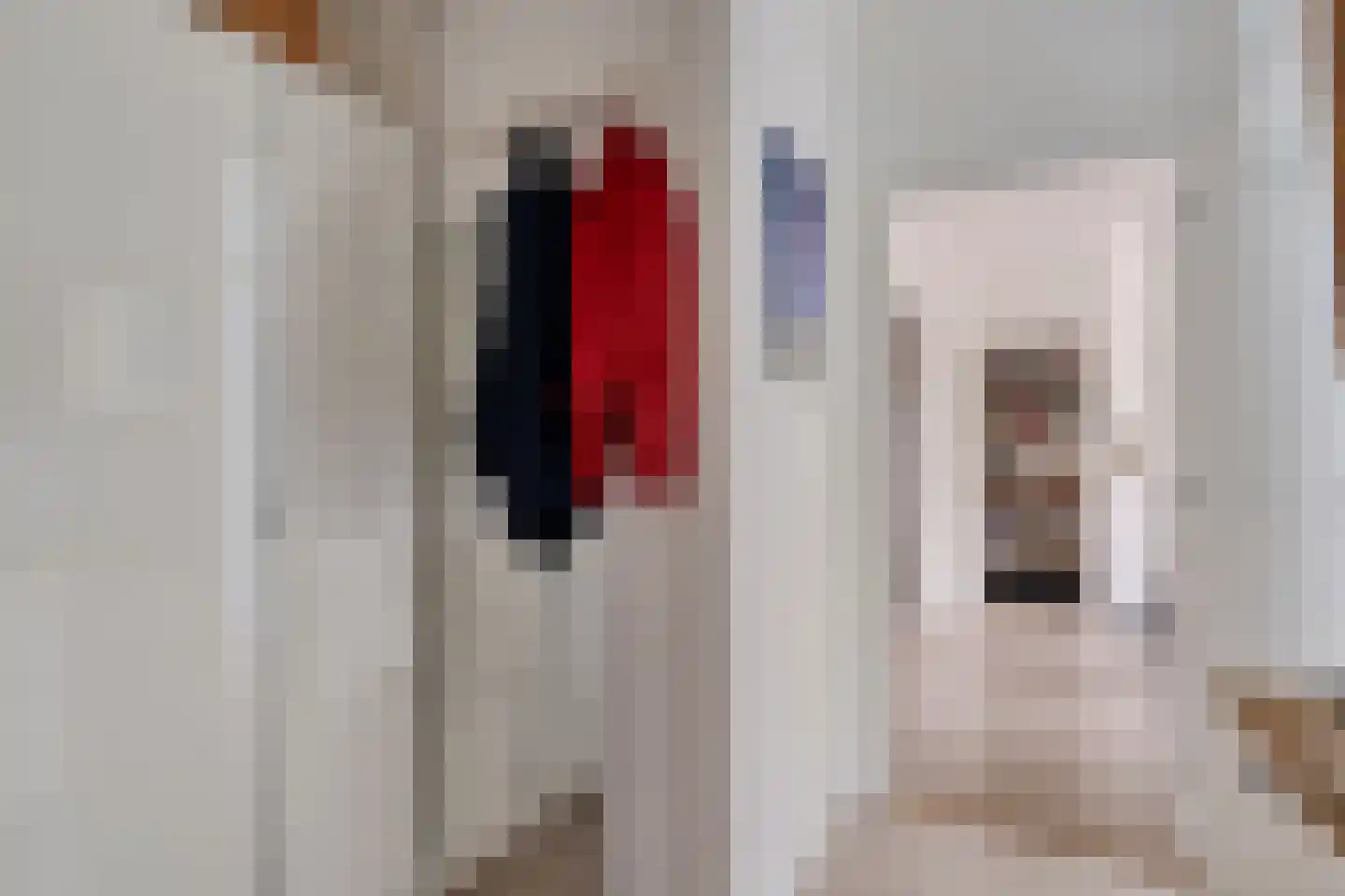 Frans Halskade 36 Rijswijk thumbnail 24