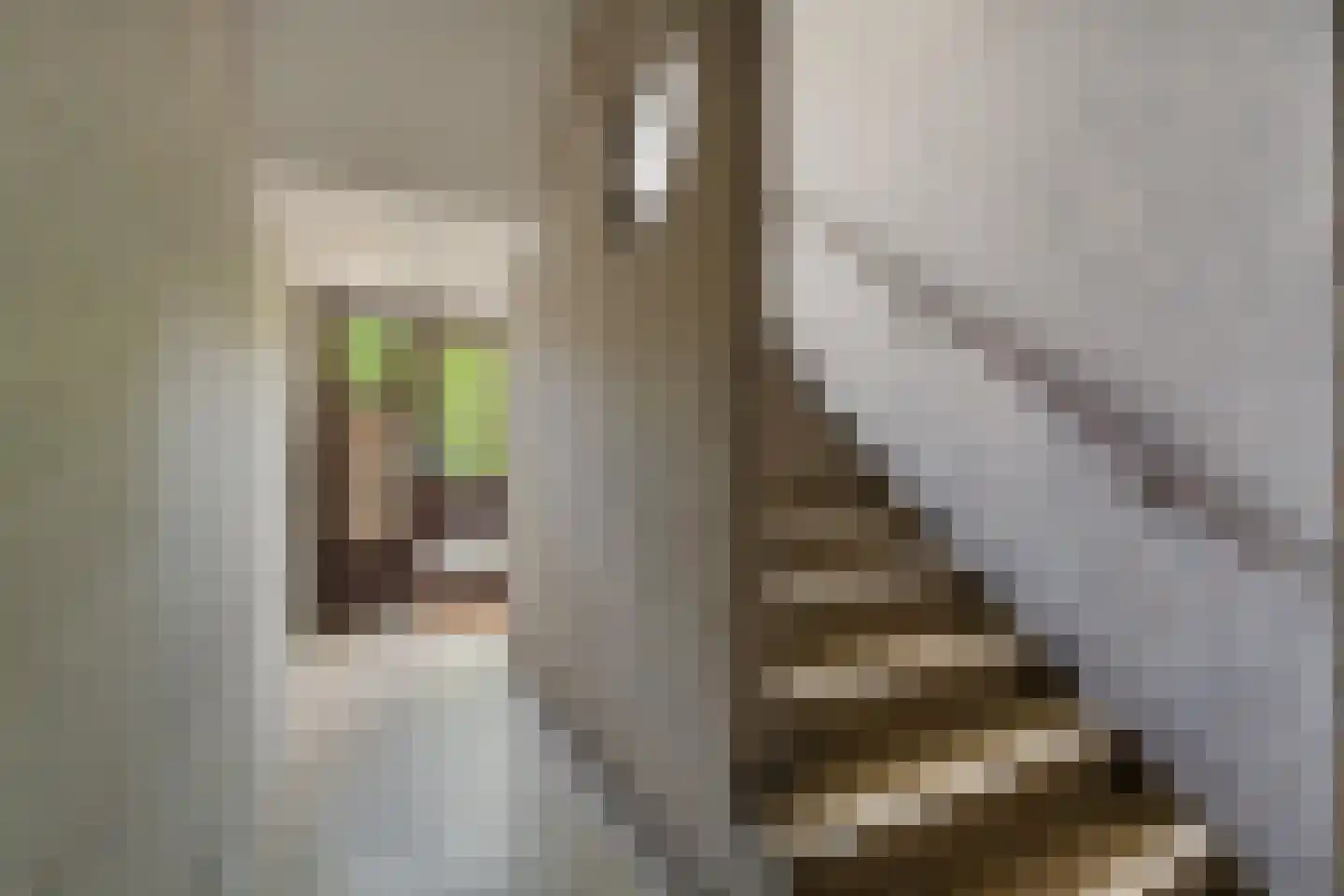 Frans Halskade 36 Rijswijk thumbnail 26