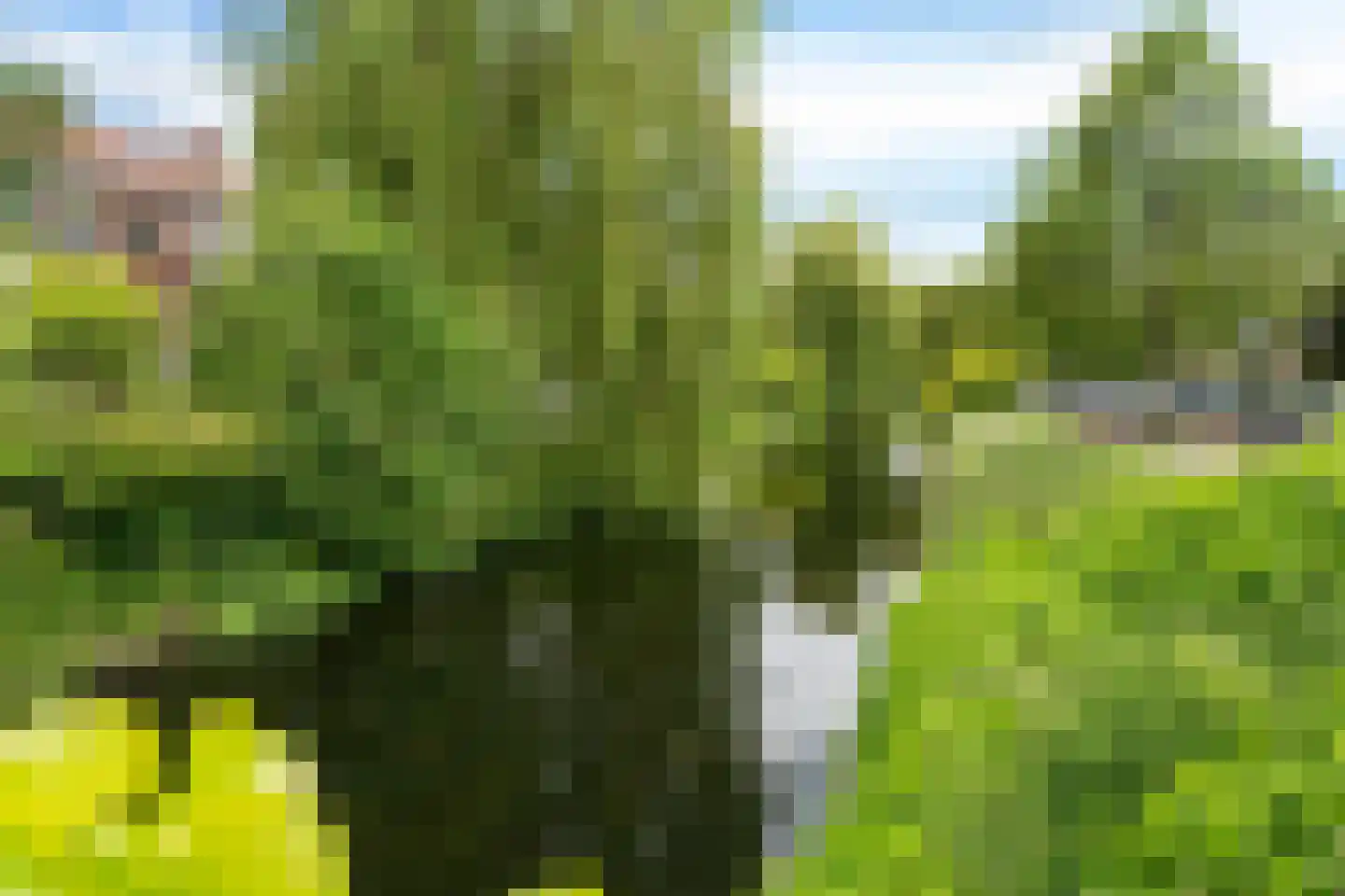 Frans Halskade 36 Rijswijk thumbnail 35