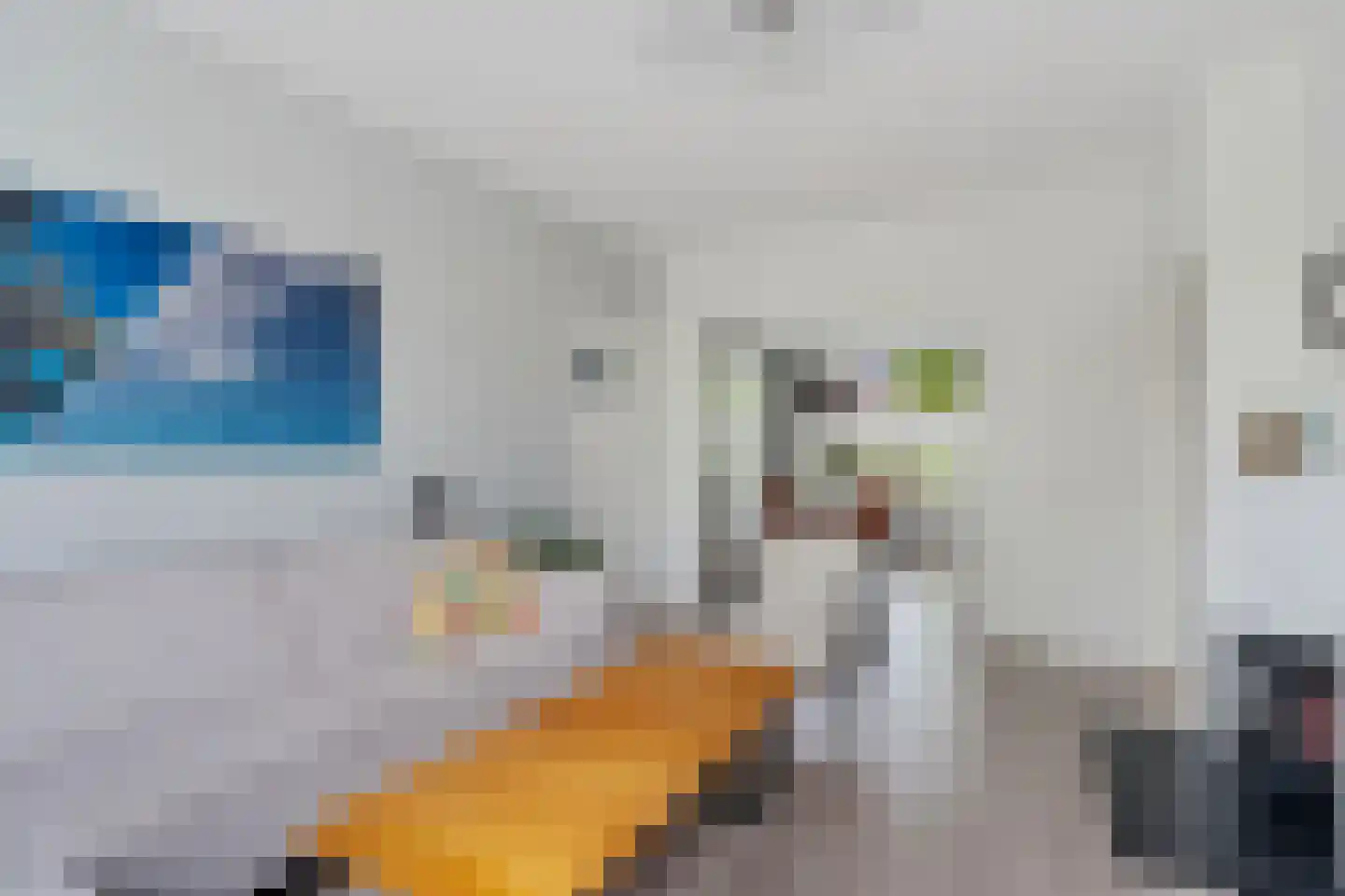 Frans Halskade 36 Rijswijk thumbnail 8