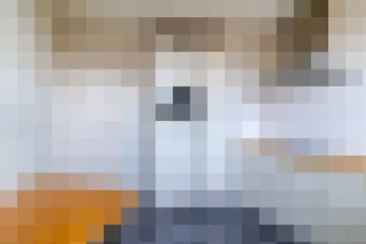 Frans Halskade 38 Rijswijk thumbnail 15
