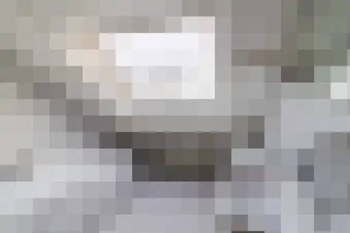 Frans Halskade 38 Rijswijk thumbnail 24