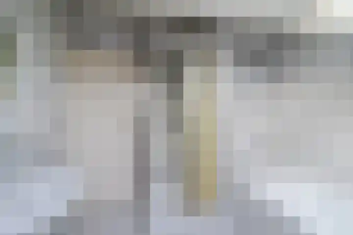 Frans Halskade 38 Rijswijk thumbnail 25