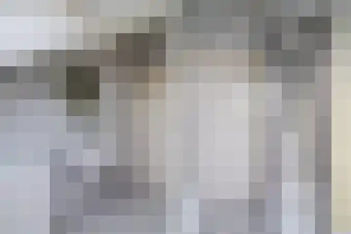 Frans Halskade 38 Rijswijk thumbnail 28
