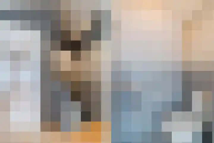 Frans Halskade 38 Rijswijk thumbnail 31