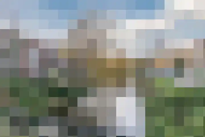 Frans Halskade 38 Rijswijk thumbnail 39