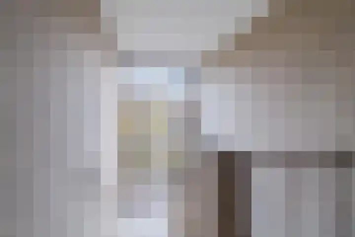 Frans Halskade 38 Rijswijk thumbnail 5