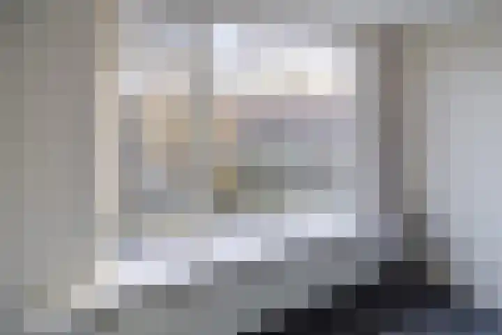 Frans Halskade 38 Rijswijk thumbnail 8