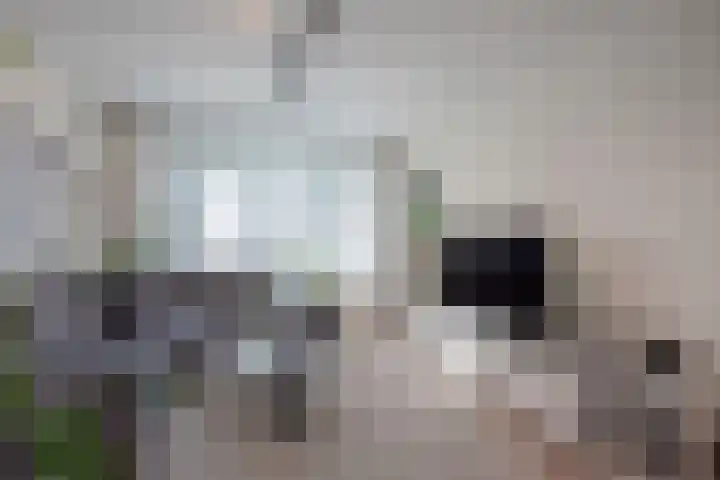 Frans Halskade 46 Rijswijk thumbnail 10