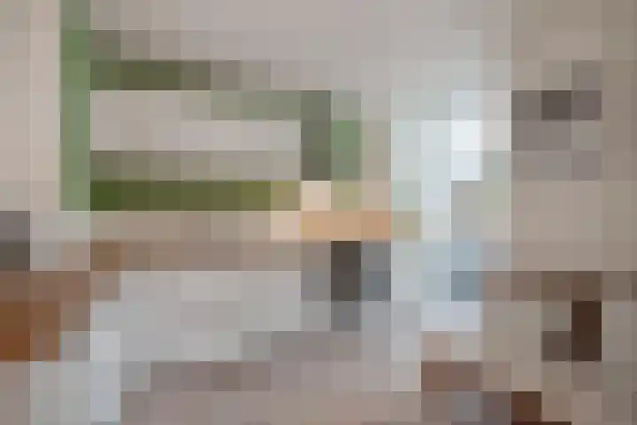 Frans Halskade 46 Rijswijk thumbnail 15