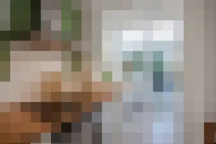 Frans Halskade 46 Rijswijk thumbnail 16