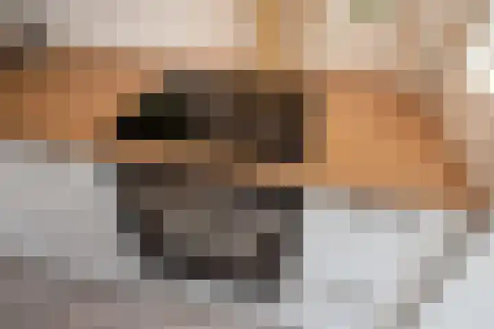 Frans Halskade 46 Rijswijk thumbnail 17