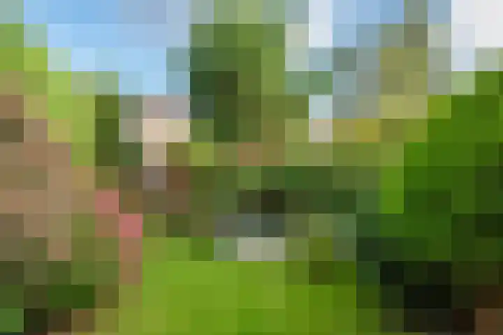 Frans Halskade 46 Rijswijk thumbnail 21