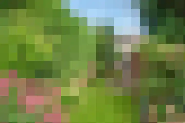 Frans Halskade 46 Rijswijk thumbnail 22