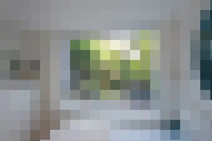 Frans Halskade 46 Rijswijk thumbnail 23
