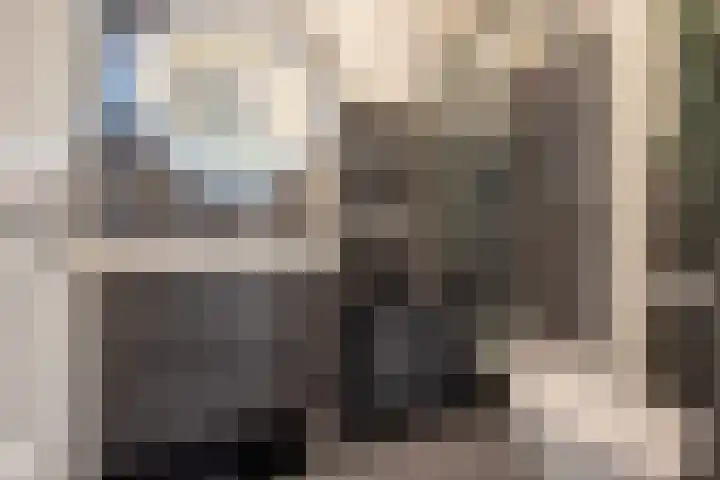 Frans Halskade 46 Rijswijk thumbnail 26
