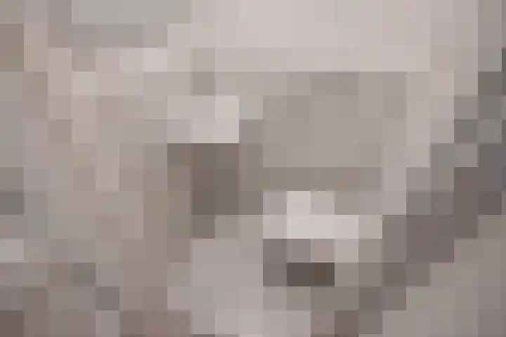 Frans Halskade 46 Rijswijk thumbnail 27