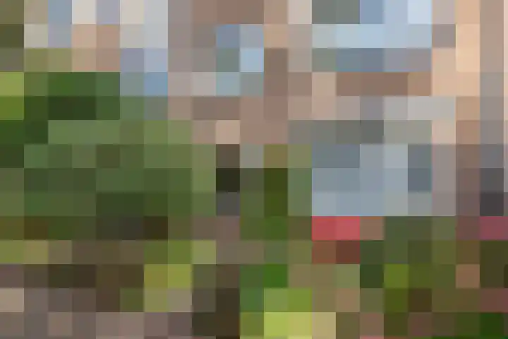 Frans Halskade 46 Rijswijk thumbnail 28