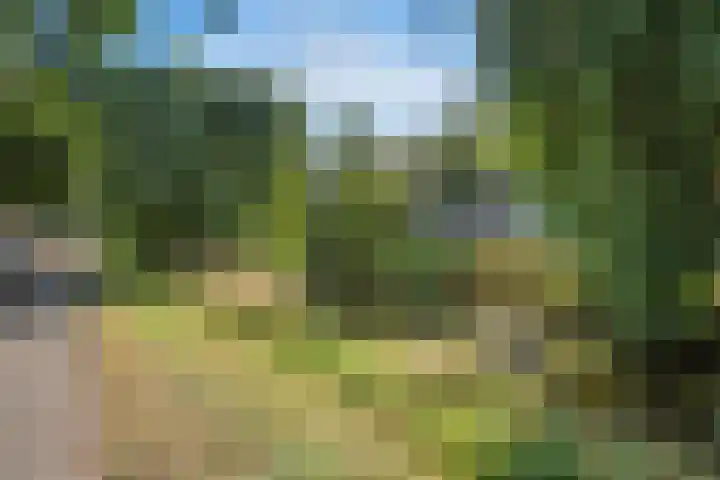 Frans Halskade 46 Rijswijk thumbnail 29
