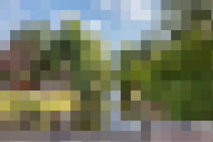 Frans Halskade 46 Rijswijk thumbnail 30