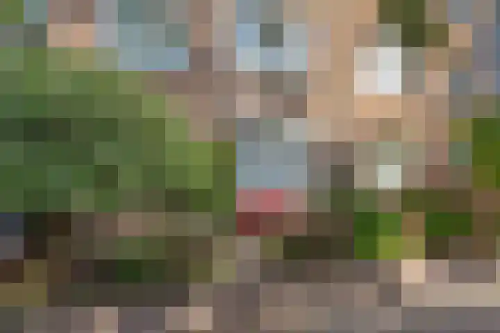 Frans Halskade 46 Rijswijk thumbnail 4