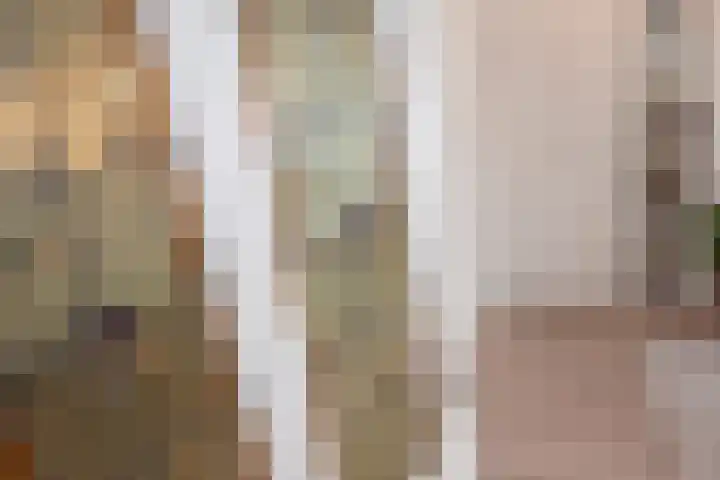 Frans Halskade 46 Rijswijk thumbnail 7