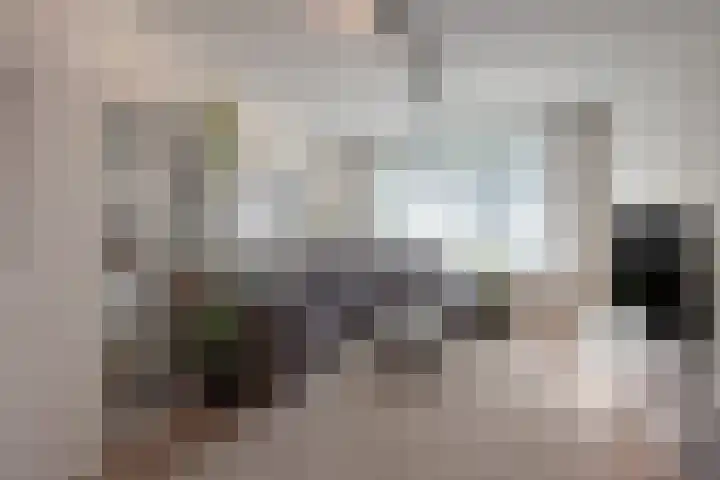 Frans Halskade 46 Rijswijk thumbnail 9