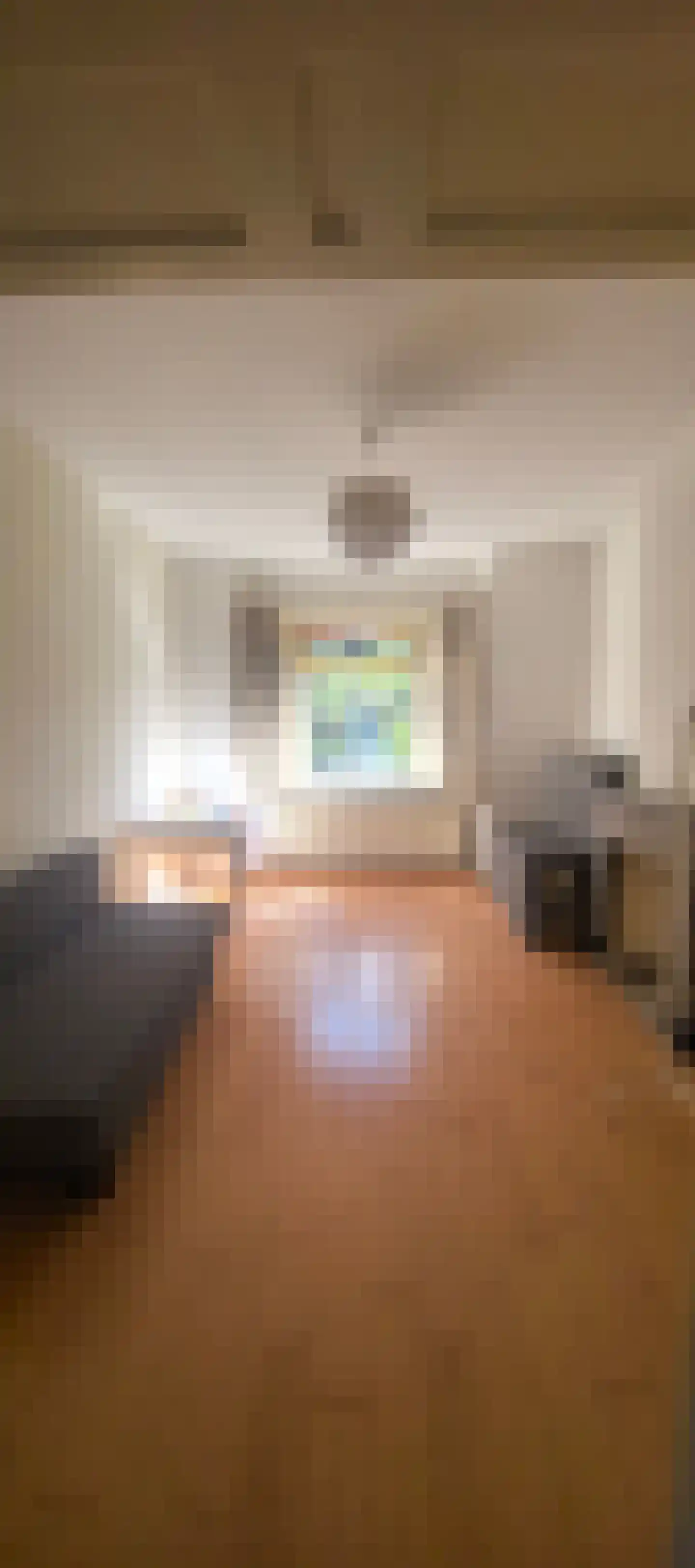 Frans Halskade 6 Rijswijk thumbnail 10