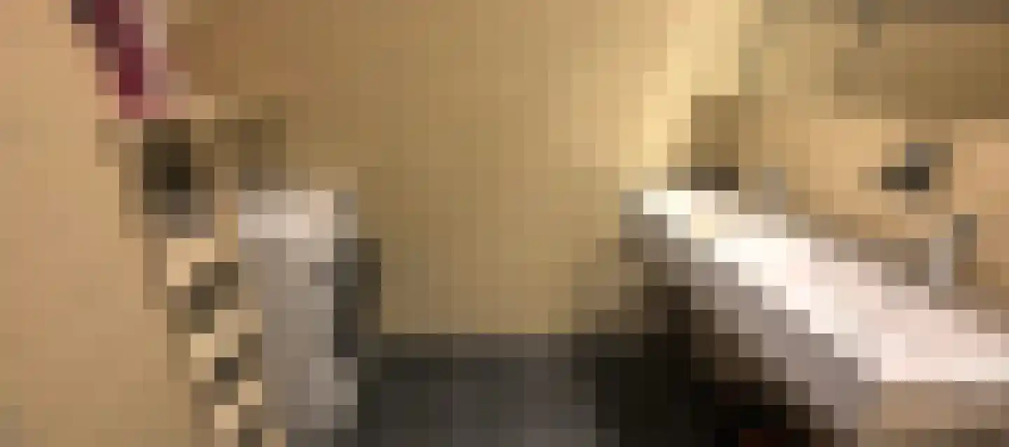 Frans Halskade 6 Rijswijk thumbnail 11