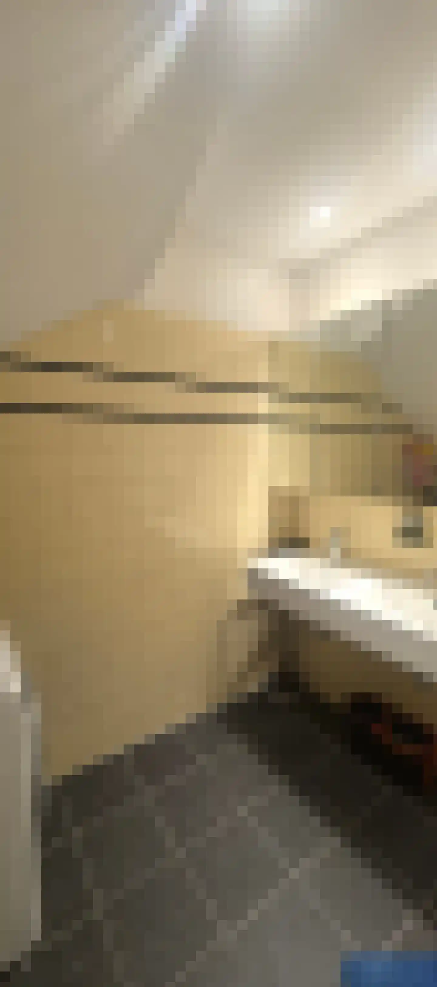 Frans Halskade 6 Rijswijk thumbnail 14