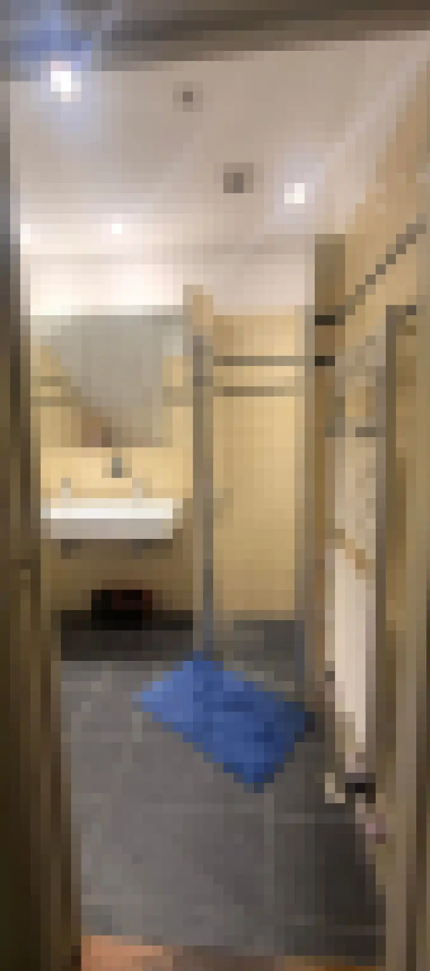 Frans Halskade 6 Rijswijk thumbnail 15