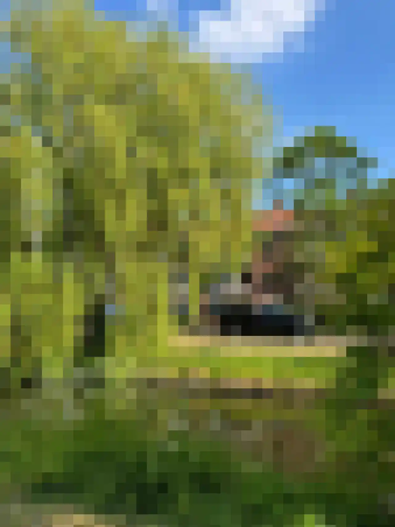 Frans Halskade 6 Rijswijk thumbnail 31