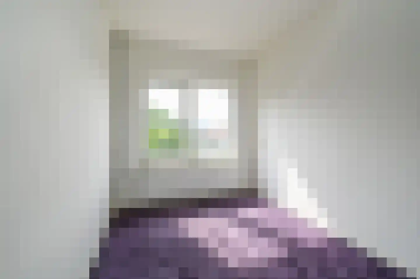 Frans Halskade 65 Rijswijk thumbnail 19