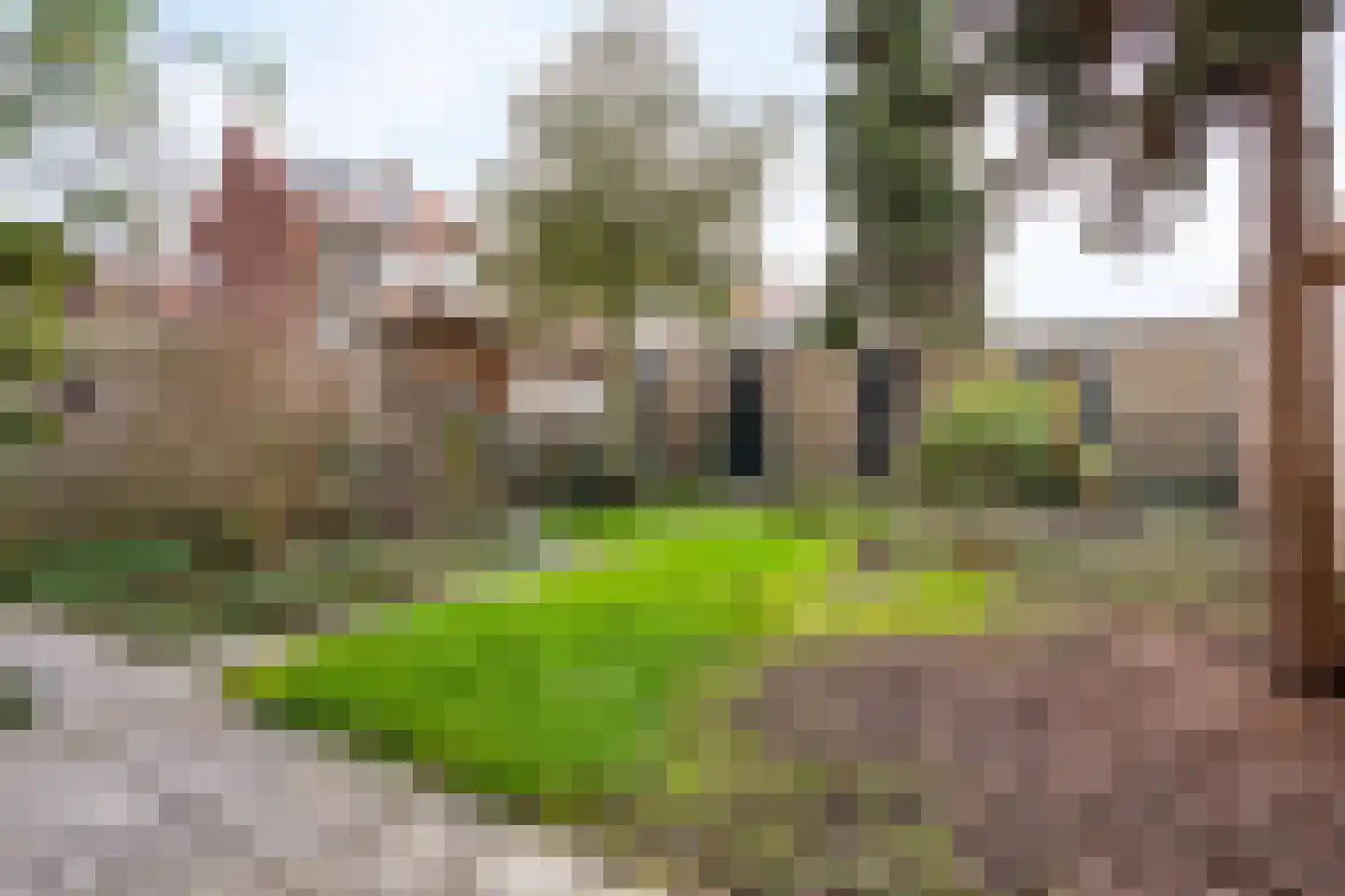 Frans Halskade 73 Rijswijk thumbnail 16