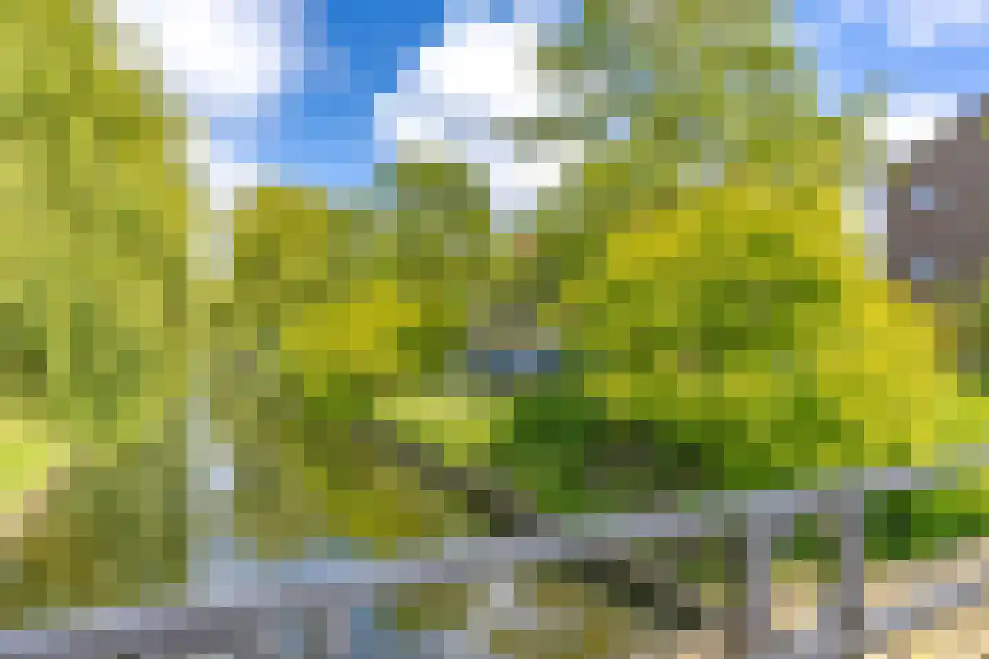 Frans Halskade 73 Rijswijk thumbnail 27