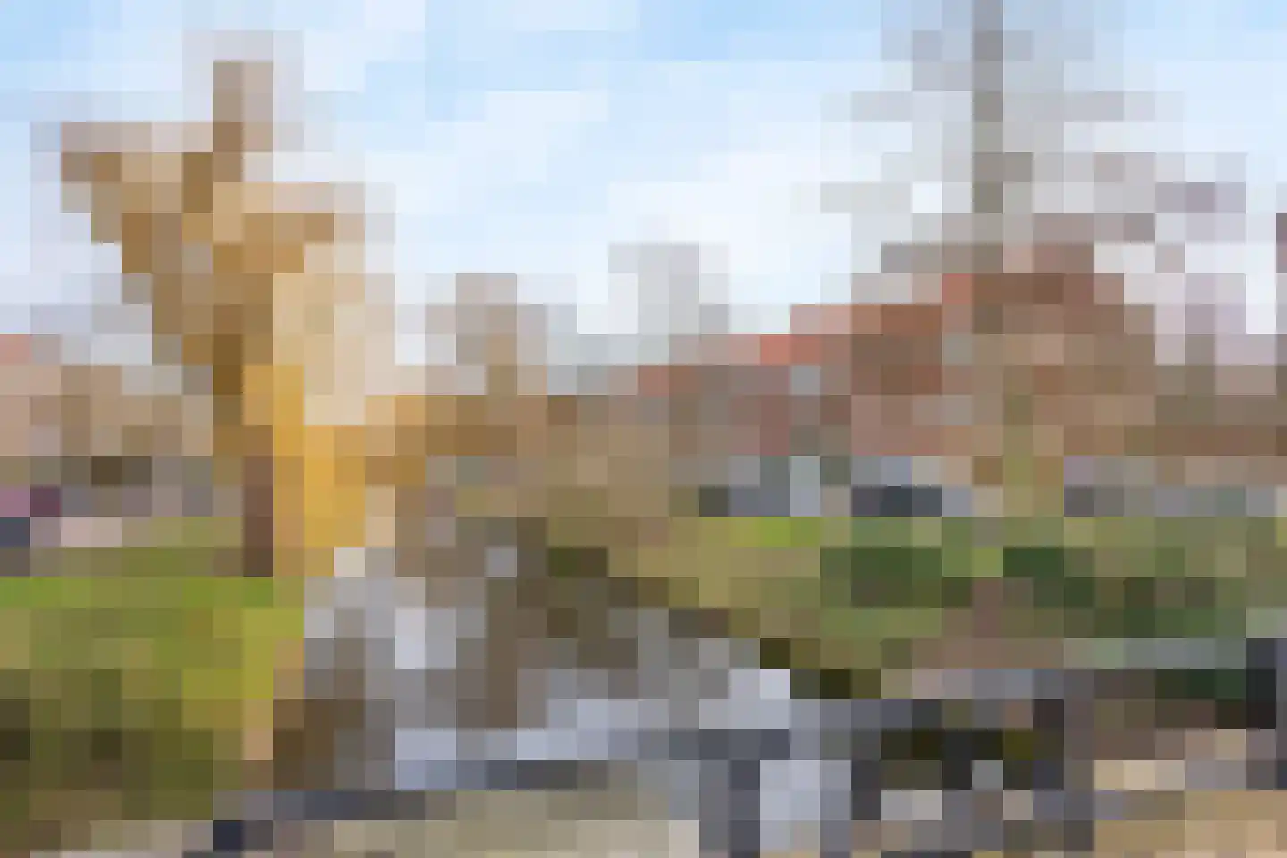 Frans Halskade 73 Rijswijk thumbnail 27