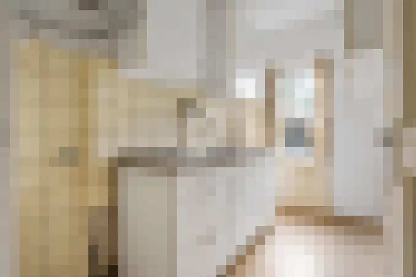 Frans Halskade 73 Rijswijk thumbnail 9