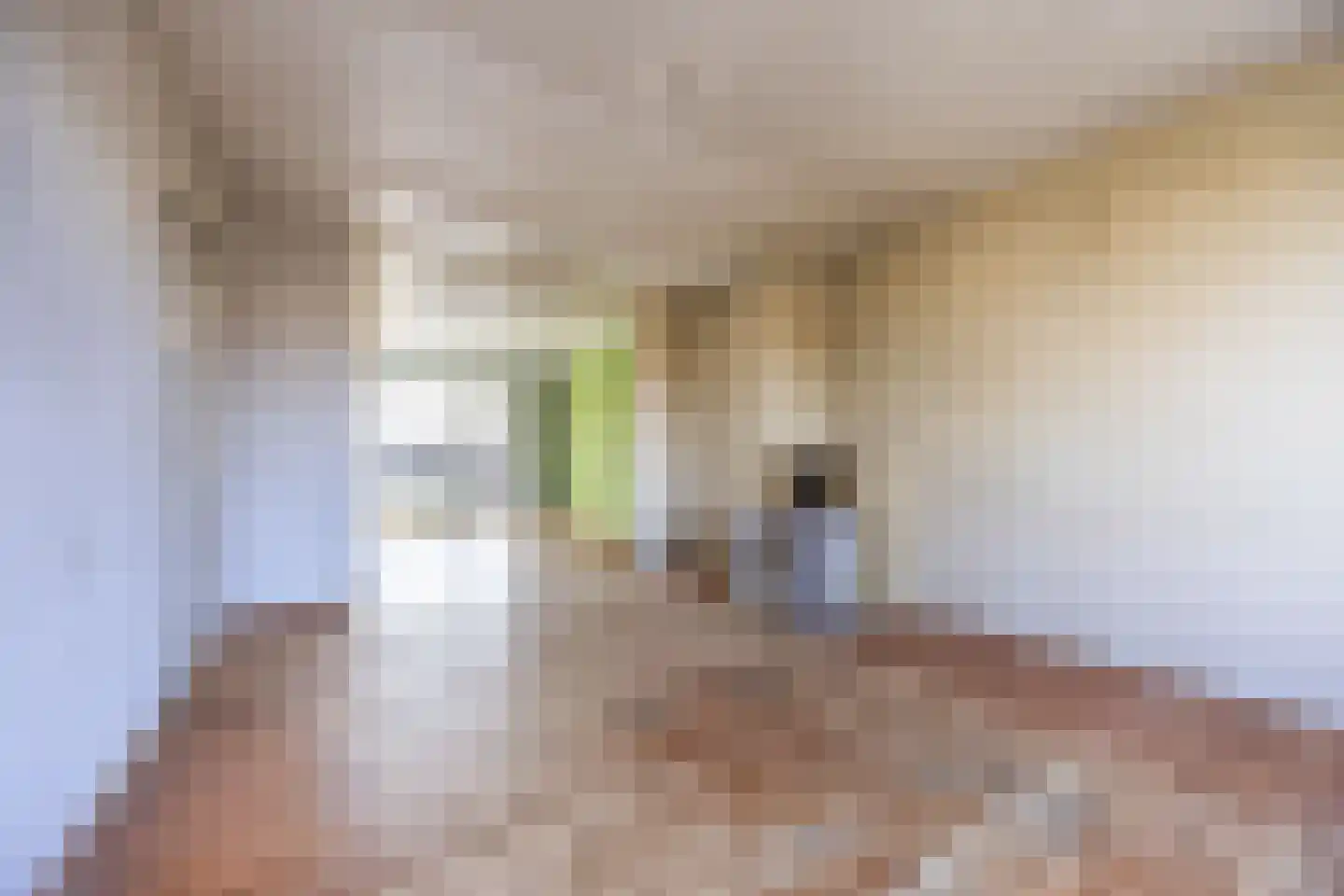 Frans Halskade 79 Rijswijk thumbnail 4