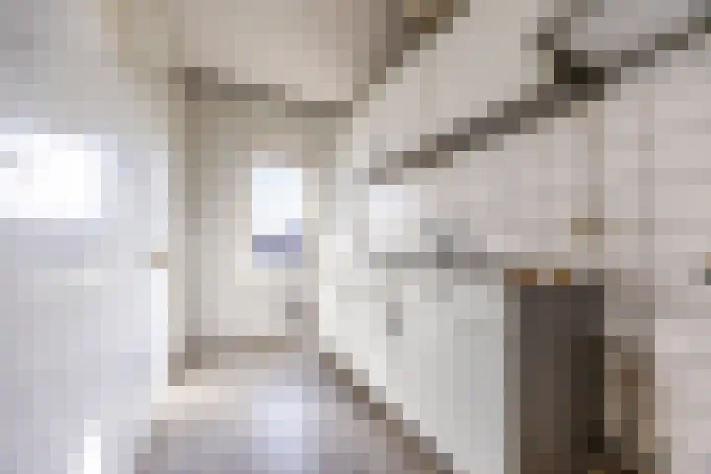 Frans Halskade 79 Rijswijk thumbnail 8