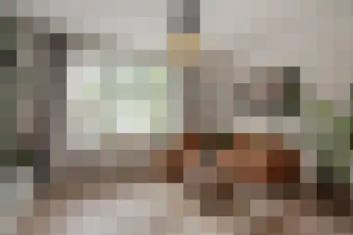 Frans Halskade 82 Rijswijk thumbnail 11