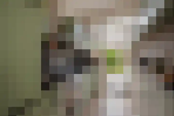 Frans Halskade 82 Rijswijk thumbnail 12