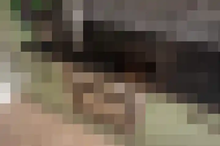 Frans Halskade 82 Rijswijk thumbnail 13