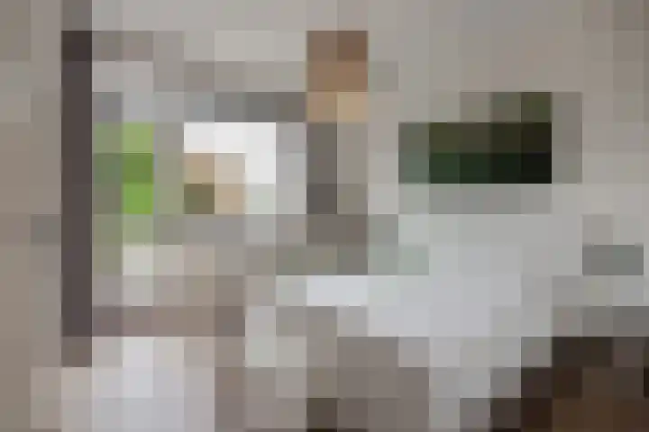 Frans Halskade 82 Rijswijk thumbnail 14