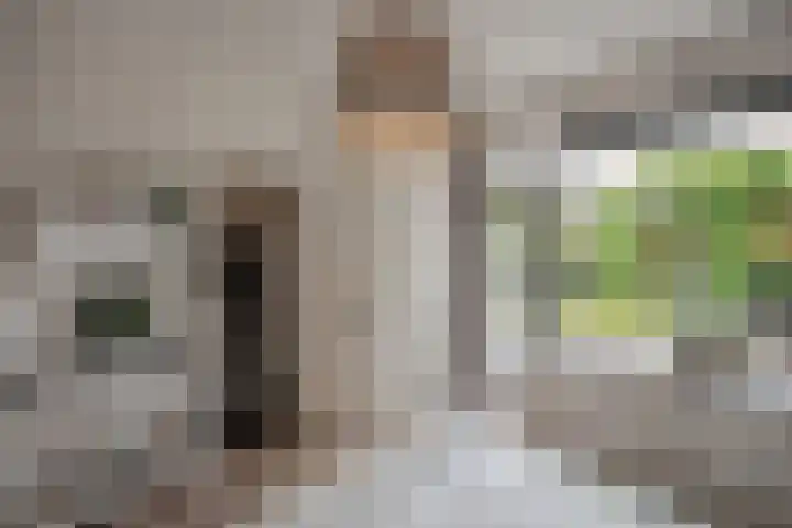 Frans Halskade 82 Rijswijk thumbnail 15