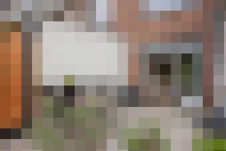 Frans Halskade 82 Rijswijk thumbnail 19