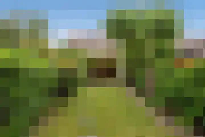 Frans Halskade 82 Rijswijk thumbnail 20