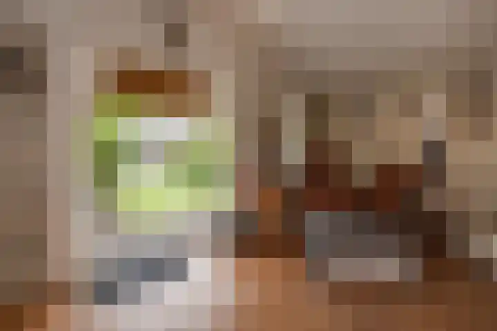 Frans Halskade 82 Rijswijk thumbnail 23