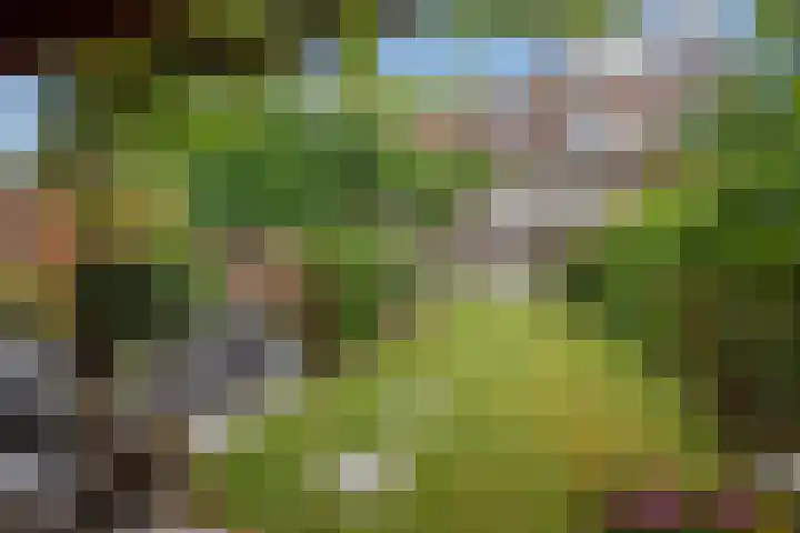 Frans Halskade 82 Rijswijk thumbnail 24